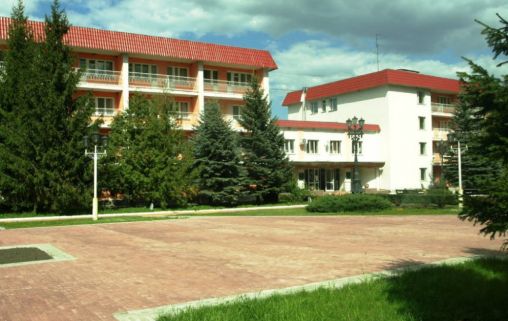 Реабилитационный центр Горыныч