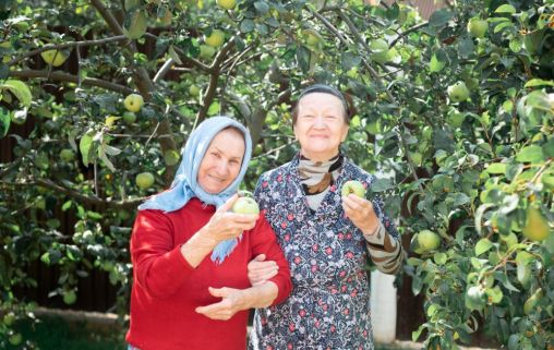 Пансионат для пожилых «Нонни Групп» Лобня