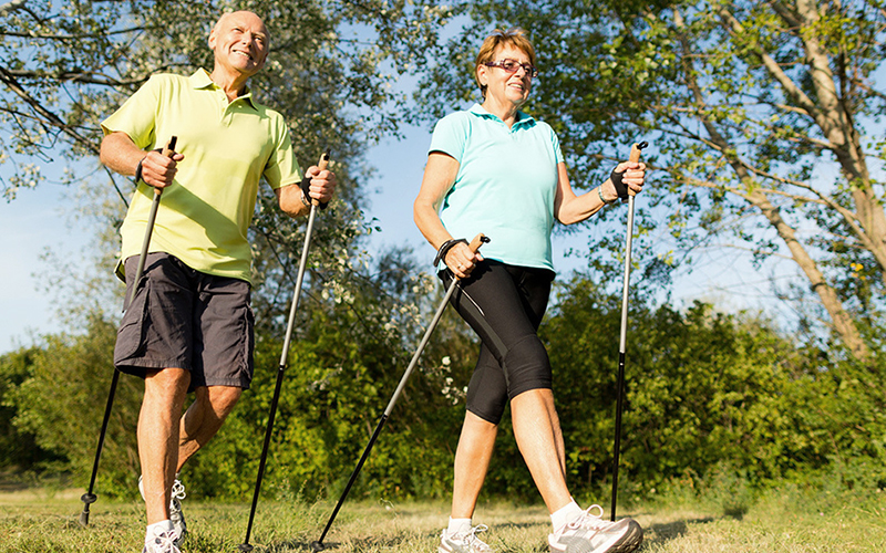 Палки для скандинавской хотьбы