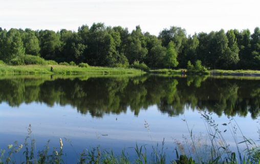 Санаторий для пенсионеров Зеленый городок