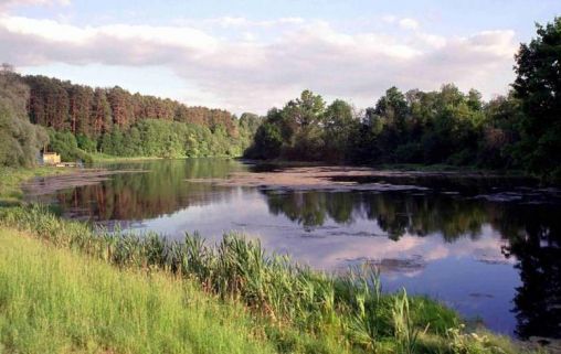 Клинический санаторий для пожилых Валуево