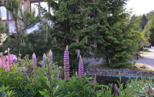 Дом престарелых в Ногинске