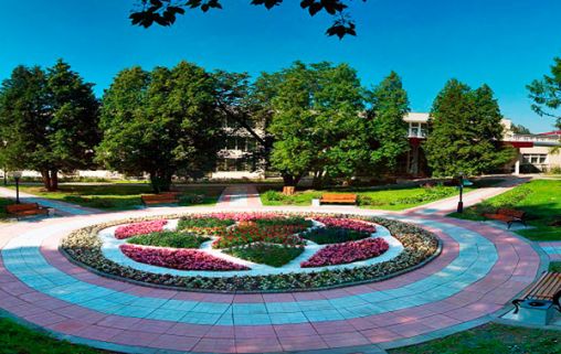 Реабилитационный центр в Назарьево