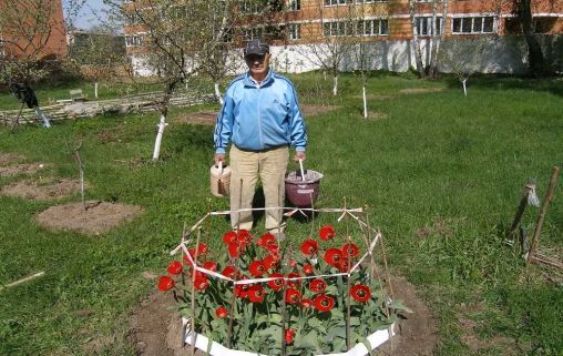 Дом-интернат для престарелых «Золотая осень»