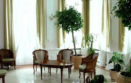 Санаторий для пожилых Звенигород