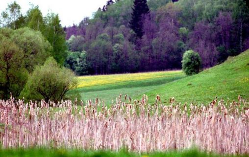 Клинический санаторий для пожилых Валуево