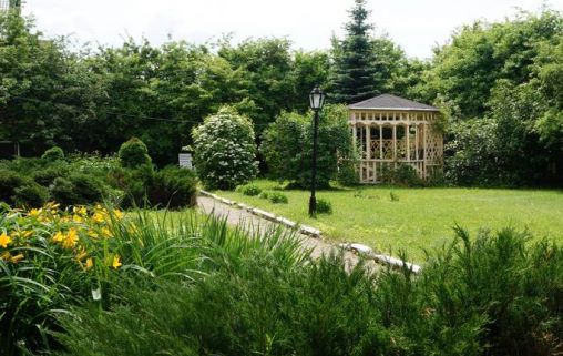 Пансионат Шишкин лес для пожилых сети Забота