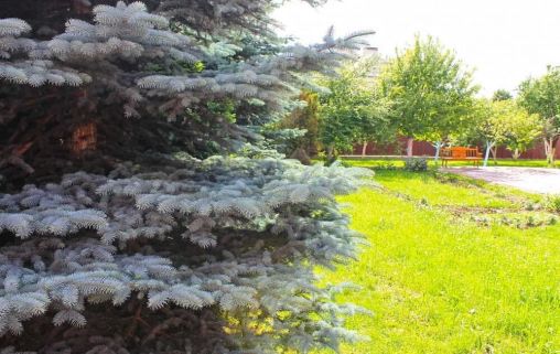 Пансионат для пожилых «Теплые беседы» в Бутово