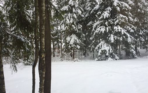 Пансионат для пожилых Берёзка